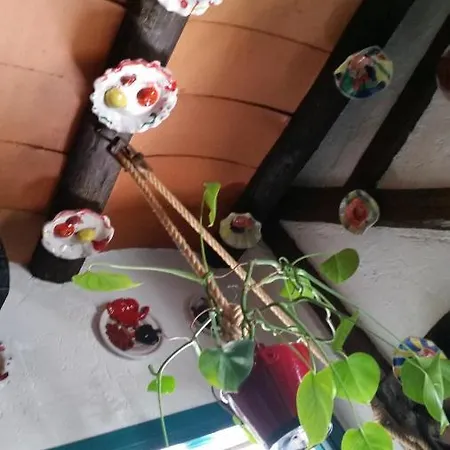 Hostal la Ninfa-2