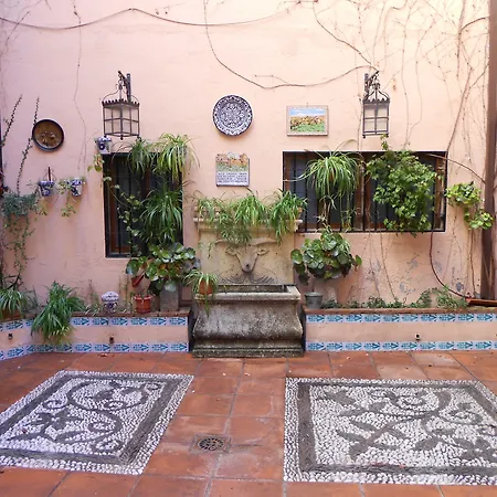 Hotel Posada del Toro-3