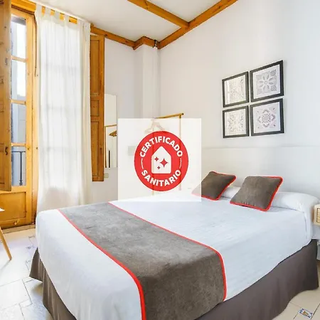 Hostal Austria-3